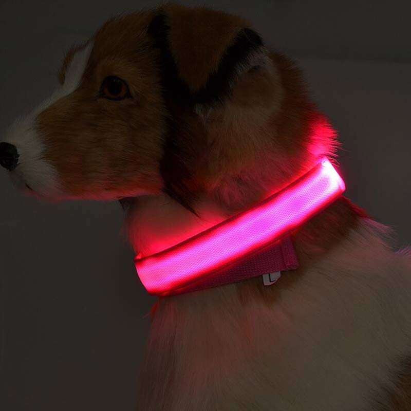 Collar de mascota con reflector nocturno